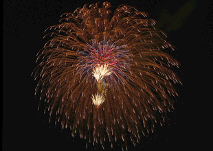 夜空中绽放的绚丽烟花