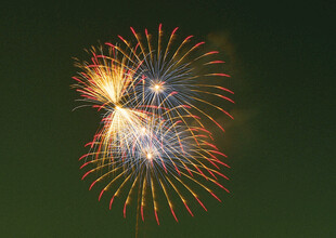 夜空中绚烂的烟花绽放