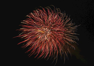 绚丽绽放的红色烟花