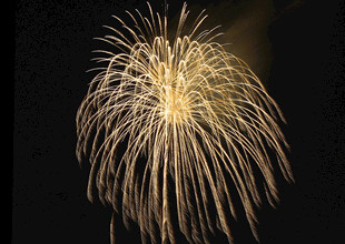 夜空中绽放的绚烂烟花