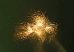 夜空中绚烂绽放的烟花