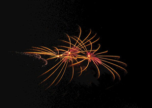 绚丽烟花绽放夜空