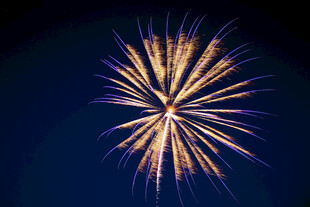 夜空中绚烂的金色烟花