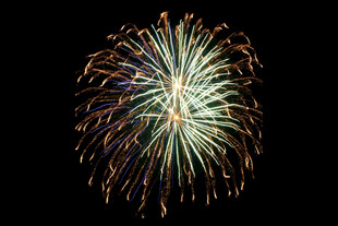 绚丽烟花绽放夜空