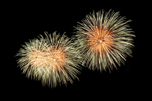 夜空中绽放的绚烂烟花