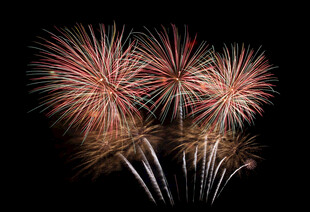 绚丽烟花绽放夜空