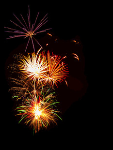 夜空中绚烂的烟花绽放