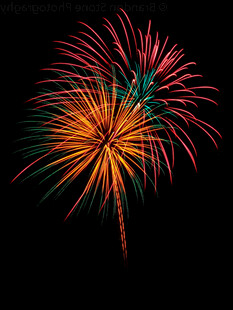 绚丽烟花绽夜空