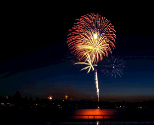 夜空中绚烂绽放的烟花