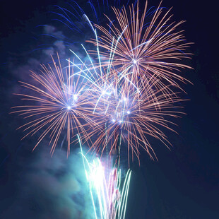 夜空中绚烂绽放的烟花