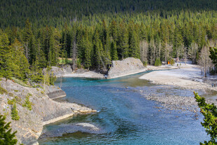 山间清澈河流与茂密森林