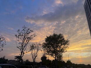 夕阳下的树木与绚丽天空