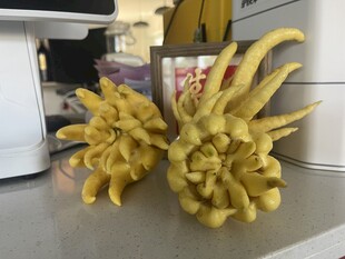 创意黄色植物雕塑摆件