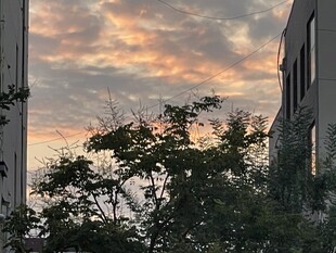 黄昏时楼宇间的绚烂天空