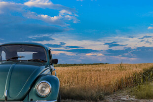 田野边的复古汽车