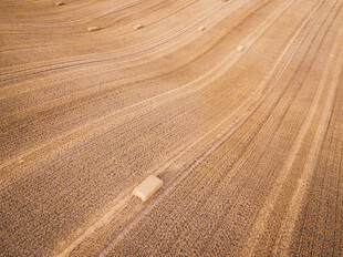 木质纹理表面特写