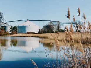 湖畔粮仓与芦苇的静谧景致