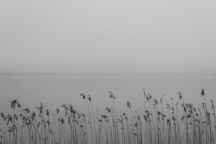 静谧自然之景