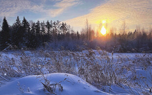 冬日雪地日出美景