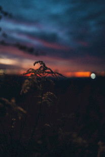 日落时分的自然美景