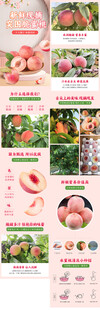 水蜜桃水果详情页