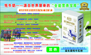 营养保健品宣传海报展示