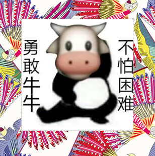 热带鸟花