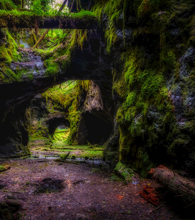 神秘苔藓覆盖的洞穴奇观