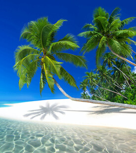 美丽热带海岛风光