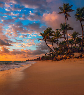 美丽海滩日落与棕榈树