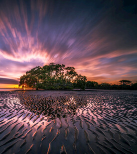 夕阳下的湿地梦幻风光