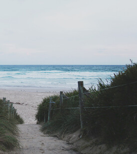 海边小径通往无垠的蔚蓝