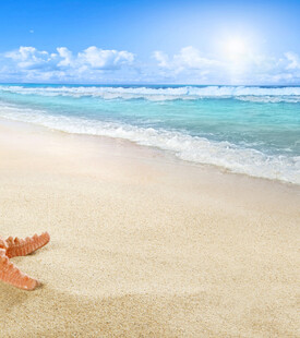 阳光沙滩上的闲适景象