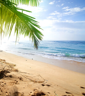 阳光沙滩与蔚蓝大海美景