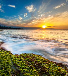海边日落美景绿意海岸线