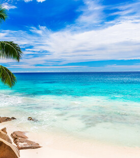 美丽热带海滩风光