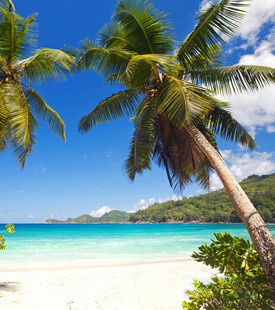 热带海滩风光椰树碧海蓝天