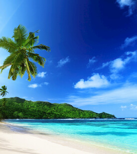 美丽热带海滩风光