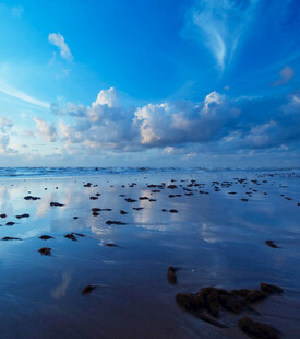 海边静谧景象天空与滩涂