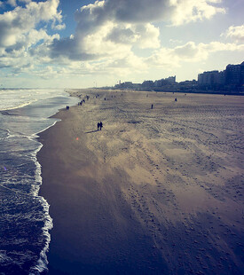 宁静海滩漫步者的惬意天地