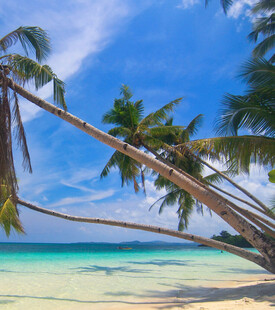 美丽热带海滩风光