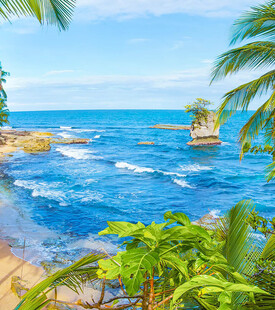 热带海滨风光绿植与海浪