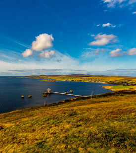 美丽湖畔草原风光景色