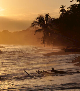 夕阳下的椰树海滩美景