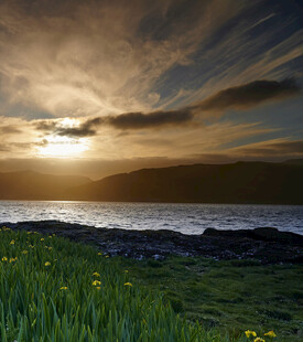 海边日落时分的草地美景