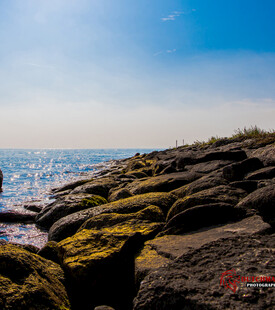 海边覆苔岩石的美丽景致