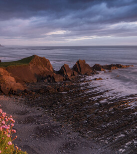 海边黄昏礁石与烂漫小花