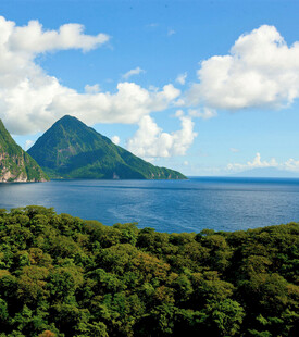 山海间的葱郁景致