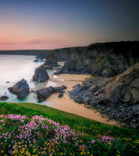 海岸黄昏美景繁花点缀