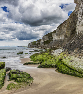 海岸风光绿苔覆岩伴沙滩